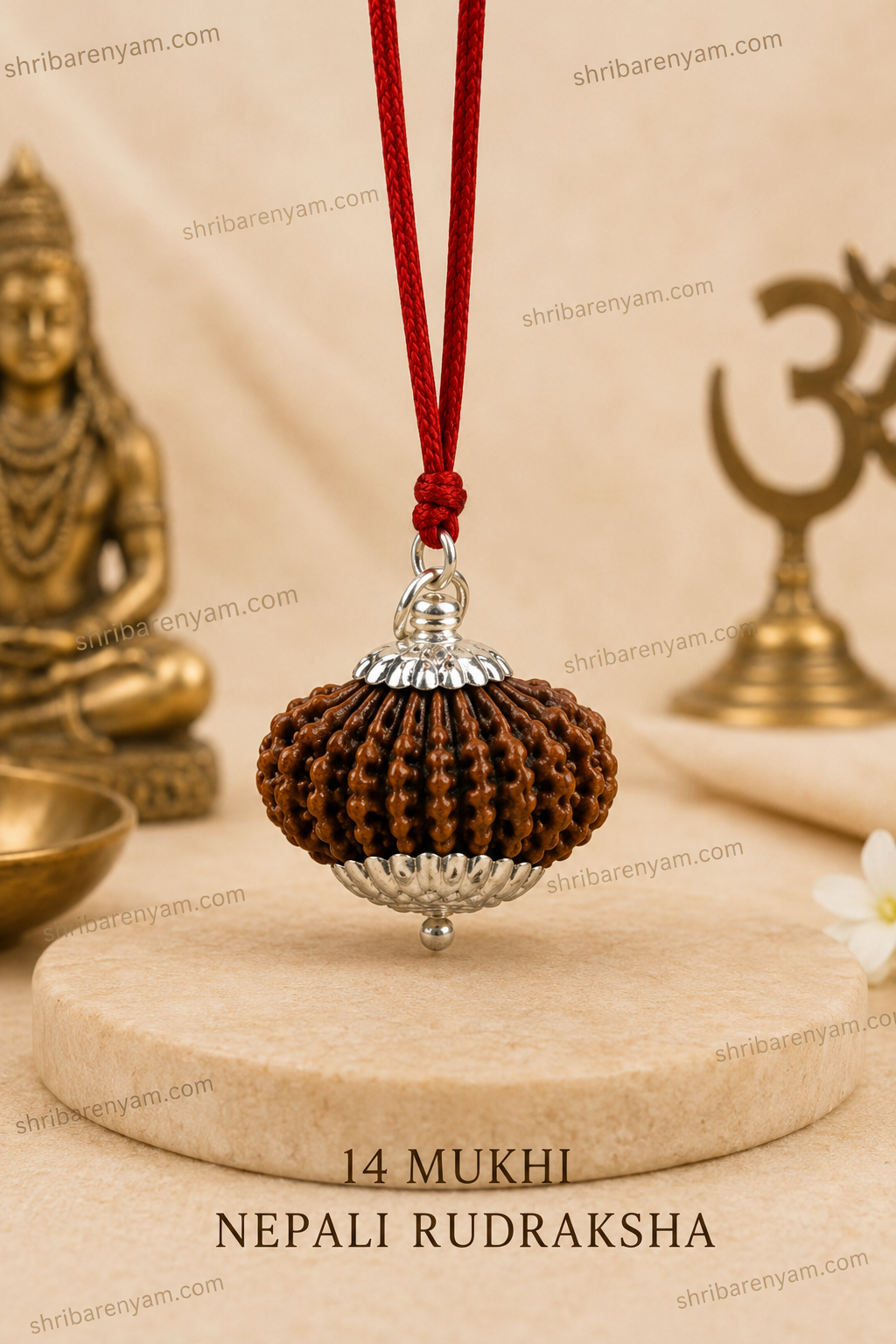 14 Mukhi Nepali Rudrkahsha - Chaudah Mukhi