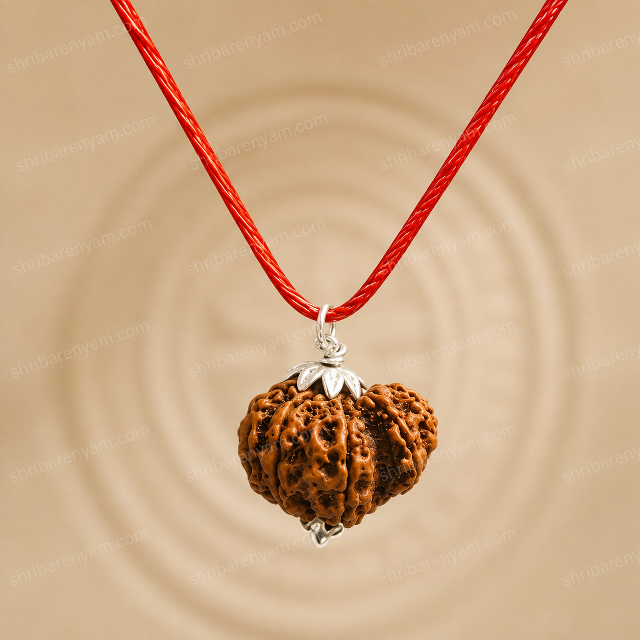 Garbh Gauri Rudraksha